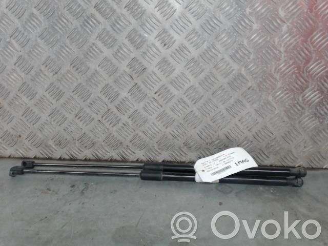 Audi Q2 - Tailgate/trunk strut/damper 