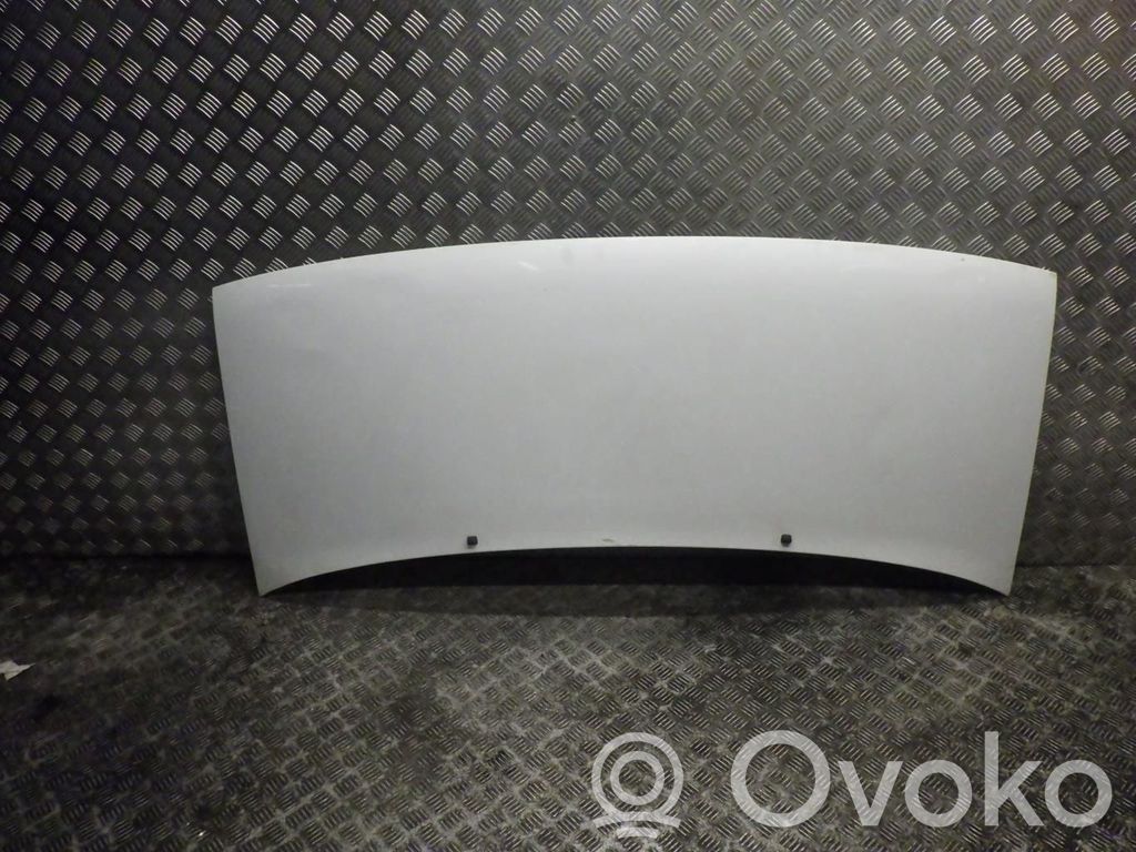 Motorhaube   7901H2