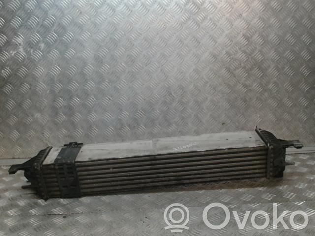 Interkūlerio radiatorius   52014780AB