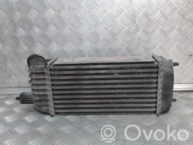 Citroen Jumpy Ladeluftkühler 