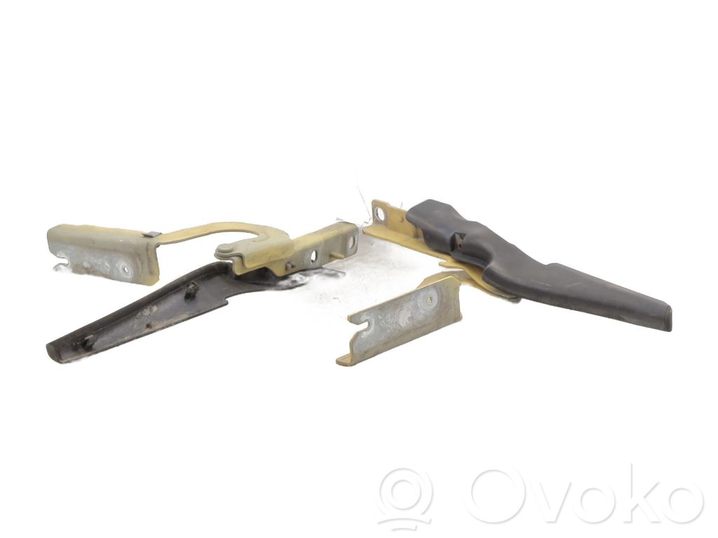 Citroen Jumpy Engine bonnet/hood hinges 