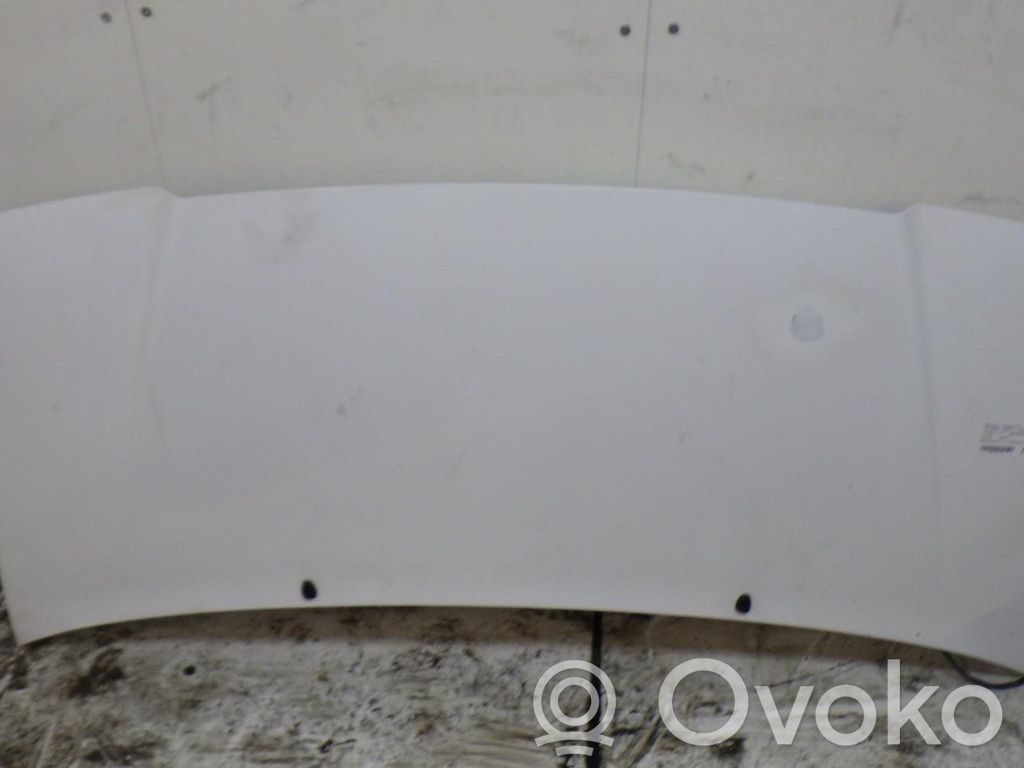 Engine bonnet/hood   00007901K8