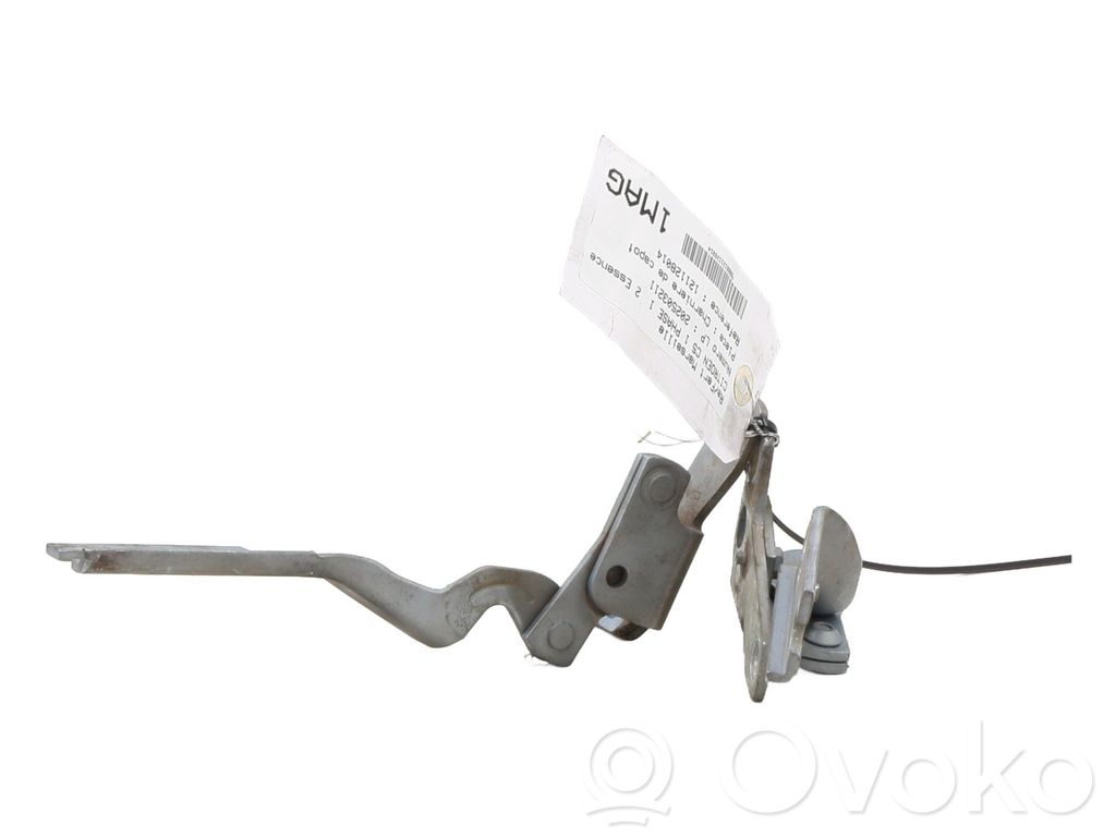 Citroen C5 Engine bonnet/hood hinges 