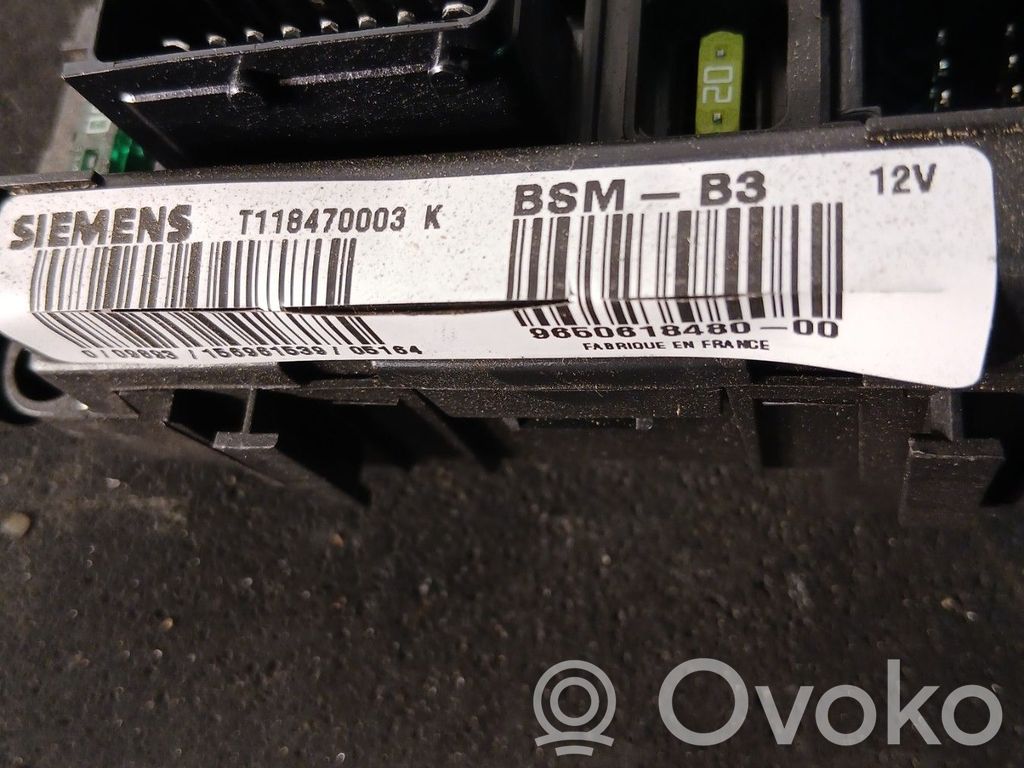 BSM Control unit   6580EZ