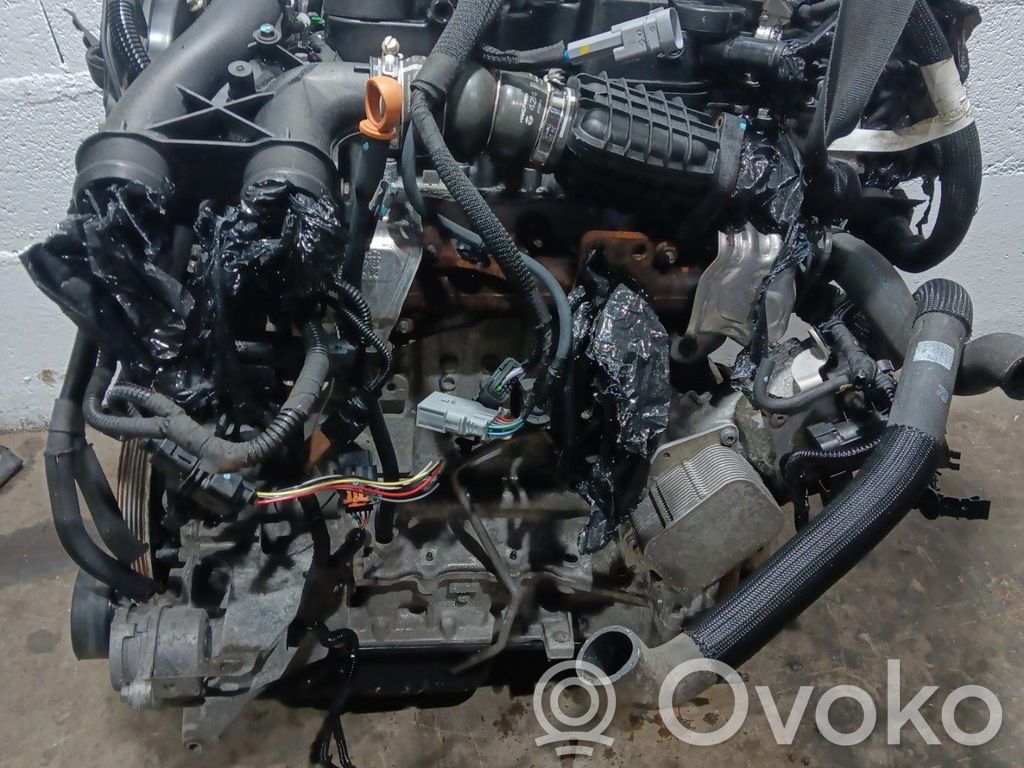 Motor   0135SW