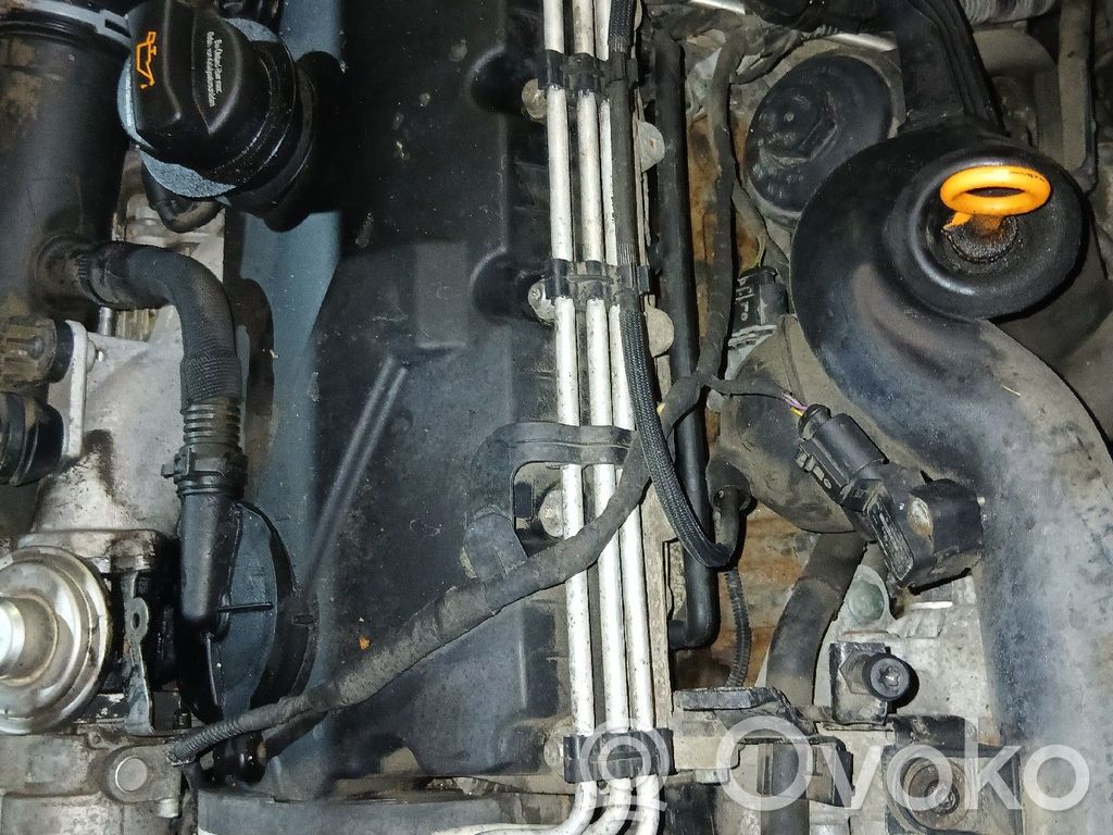 Motor