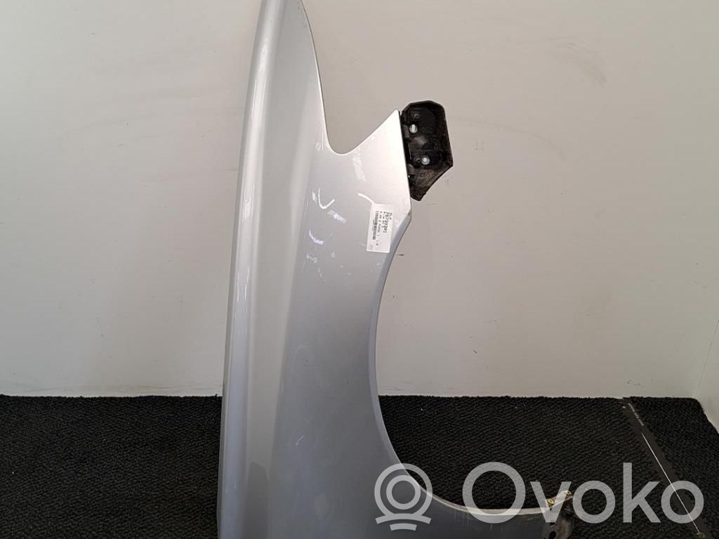 Guardabarro   31278845