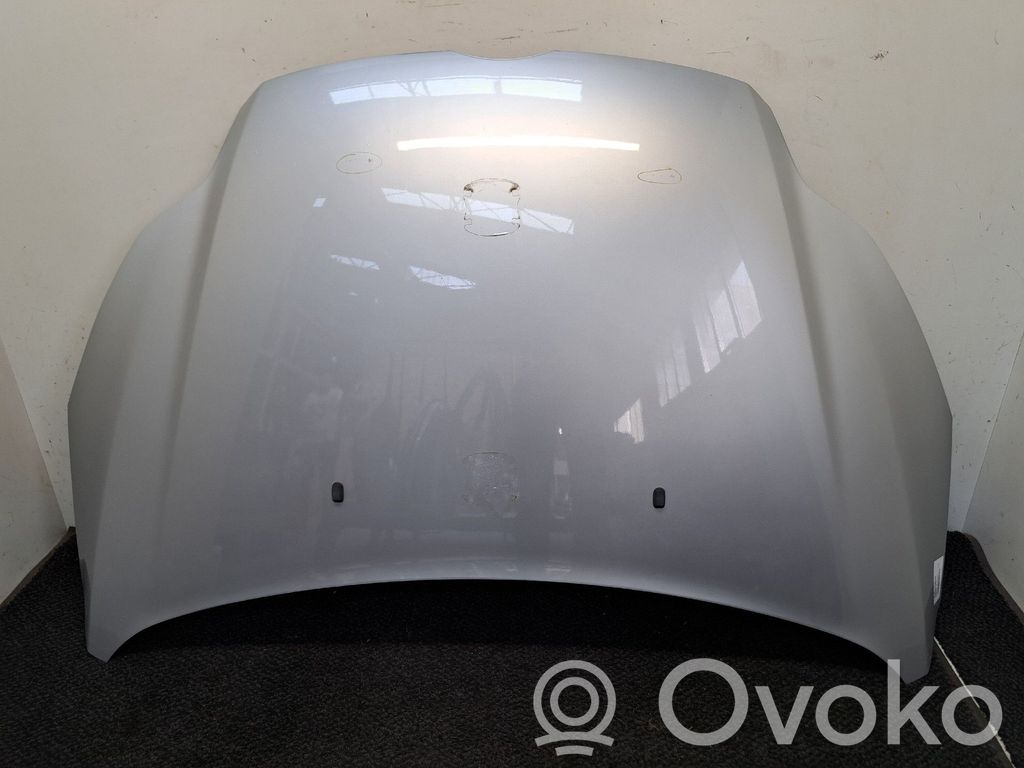 Motorhaube   1797477