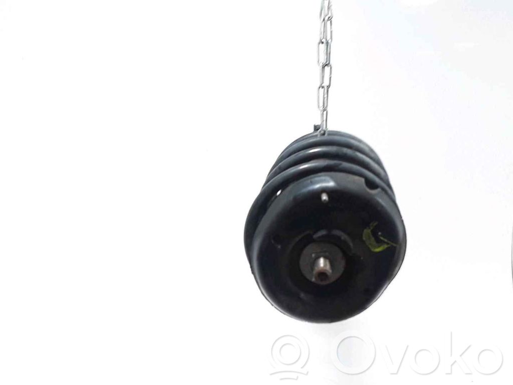 Peugeot 1007 Front shock absorber/damper 