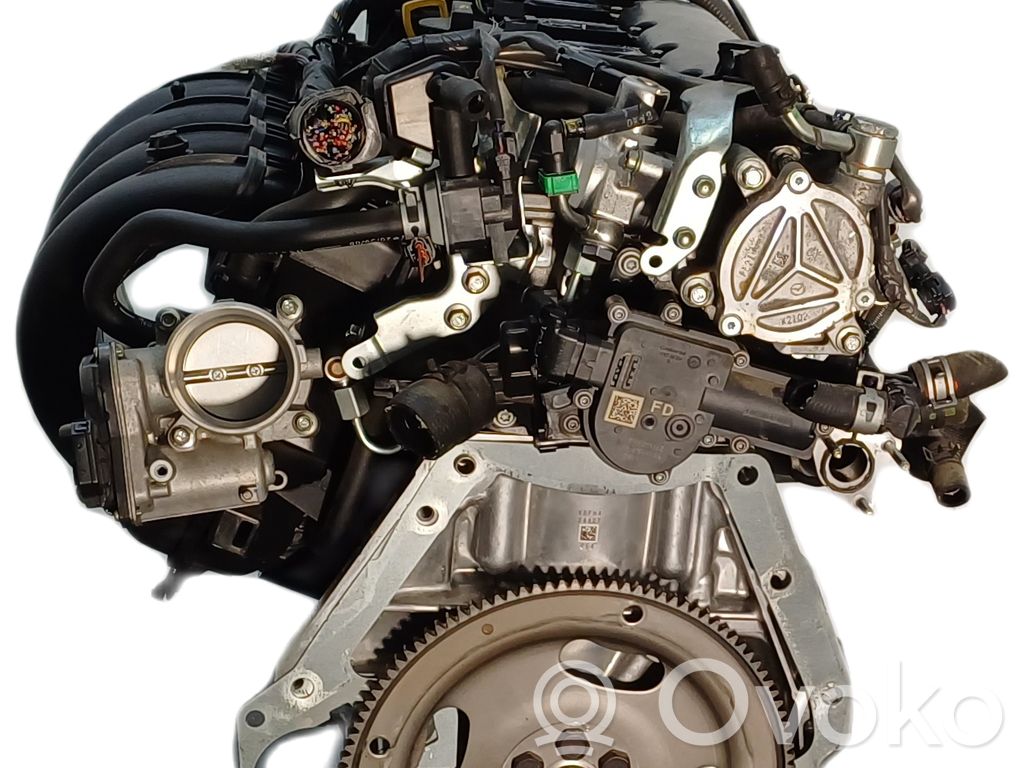 Variklis   PEXB02300B,20230770,4653788,VDMS13