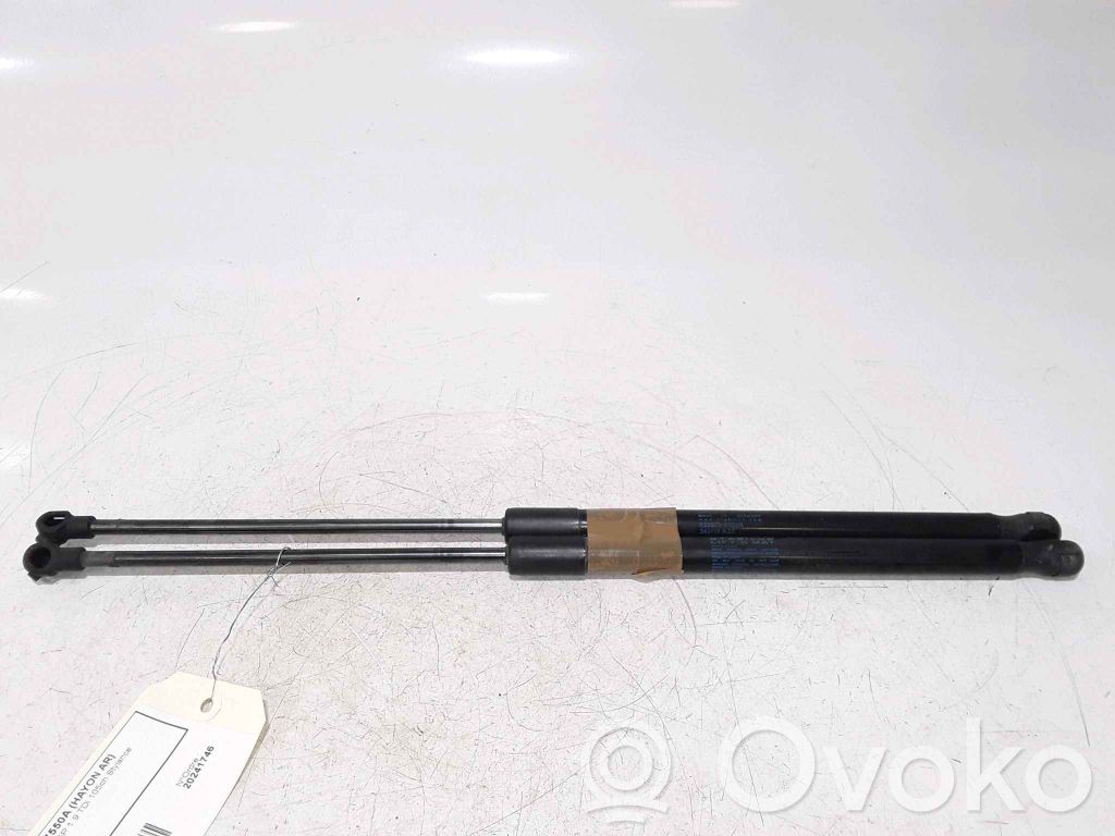 Seat Leon (1M) Ammortizzatore portellone posteriore/bagagliaio 