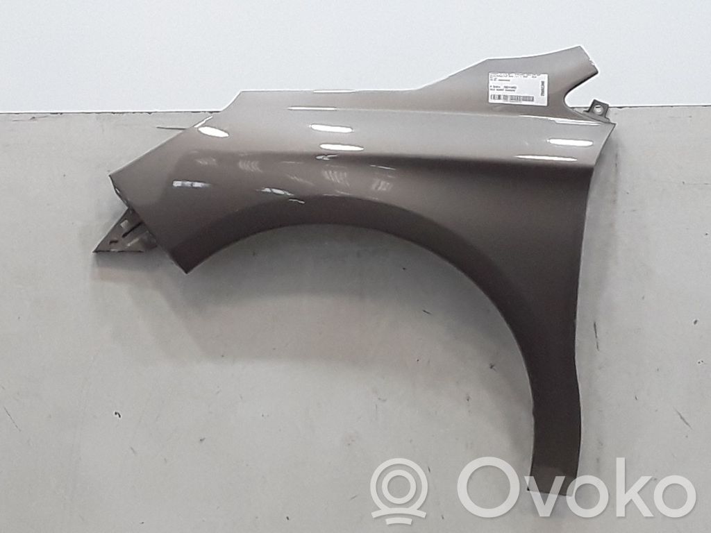 Citroen C4 II Guardabarro 