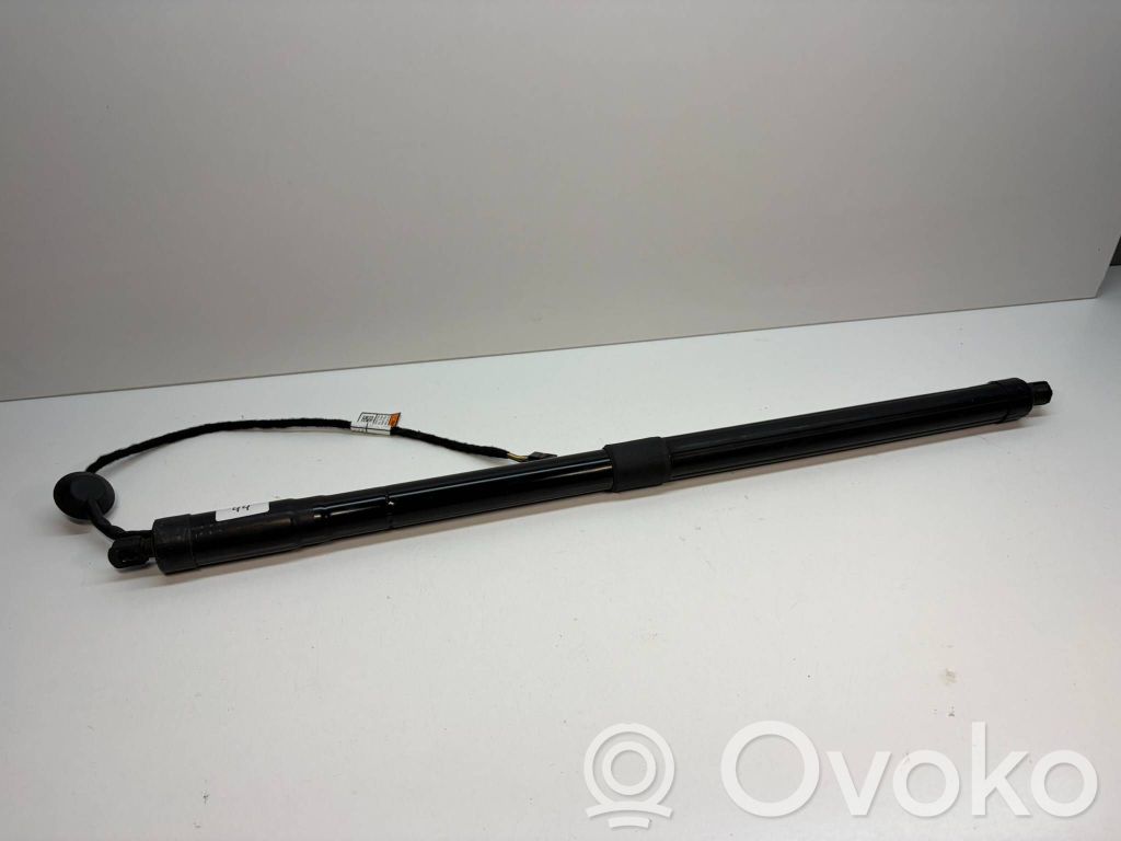 Tailgate strut   32296298,02072020