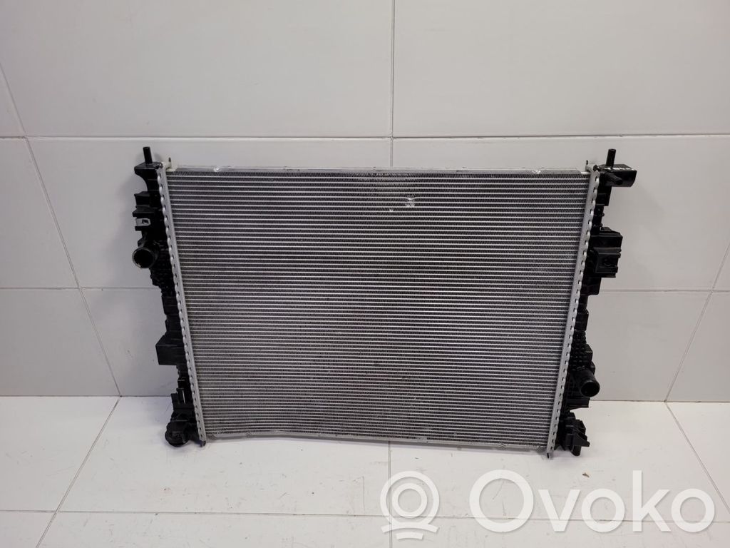 Coolant radiator   LX618005AG