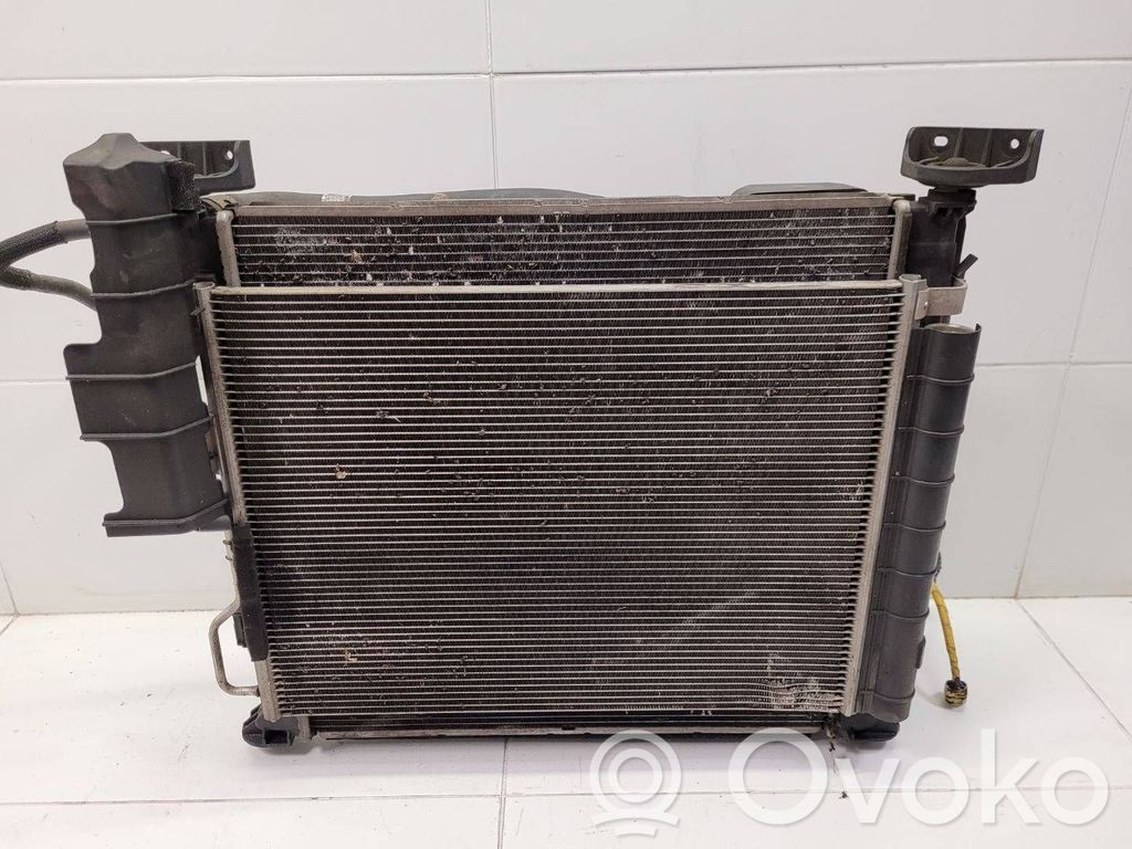 Radiator set   8D4160000