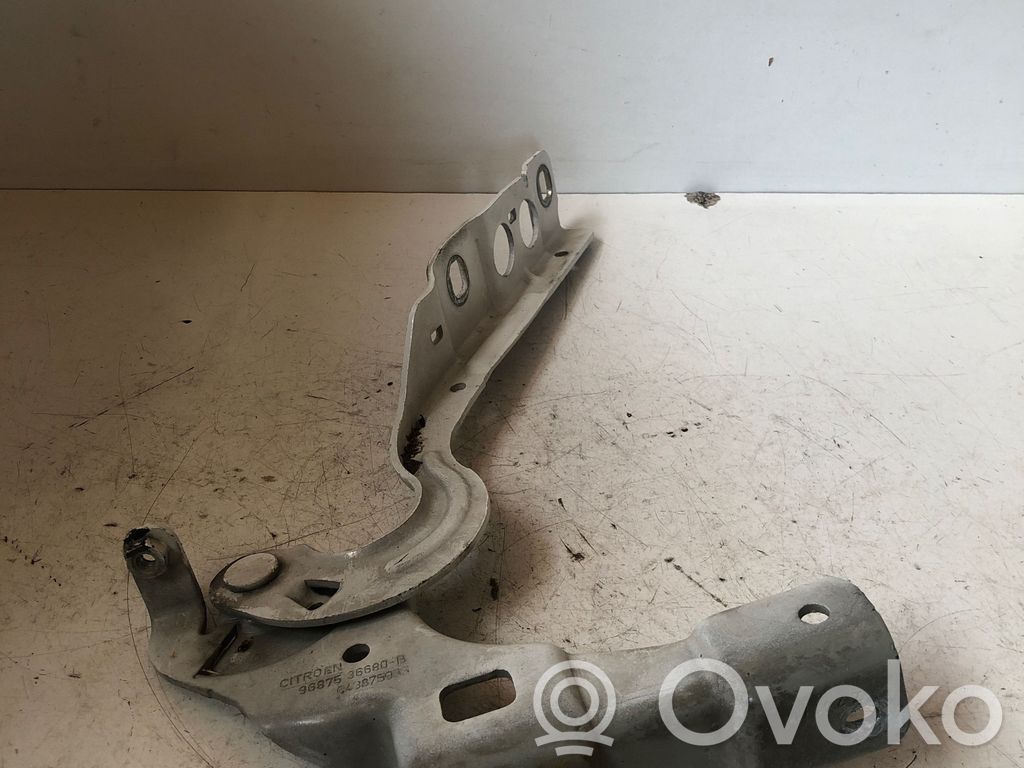 Citroen C4 I Konepellin saranat 
