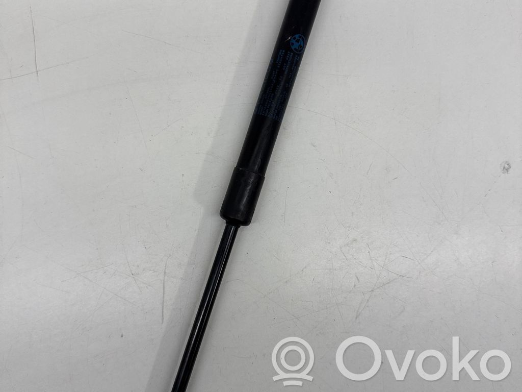 Tailgate/trunk strut/damper   E87FK