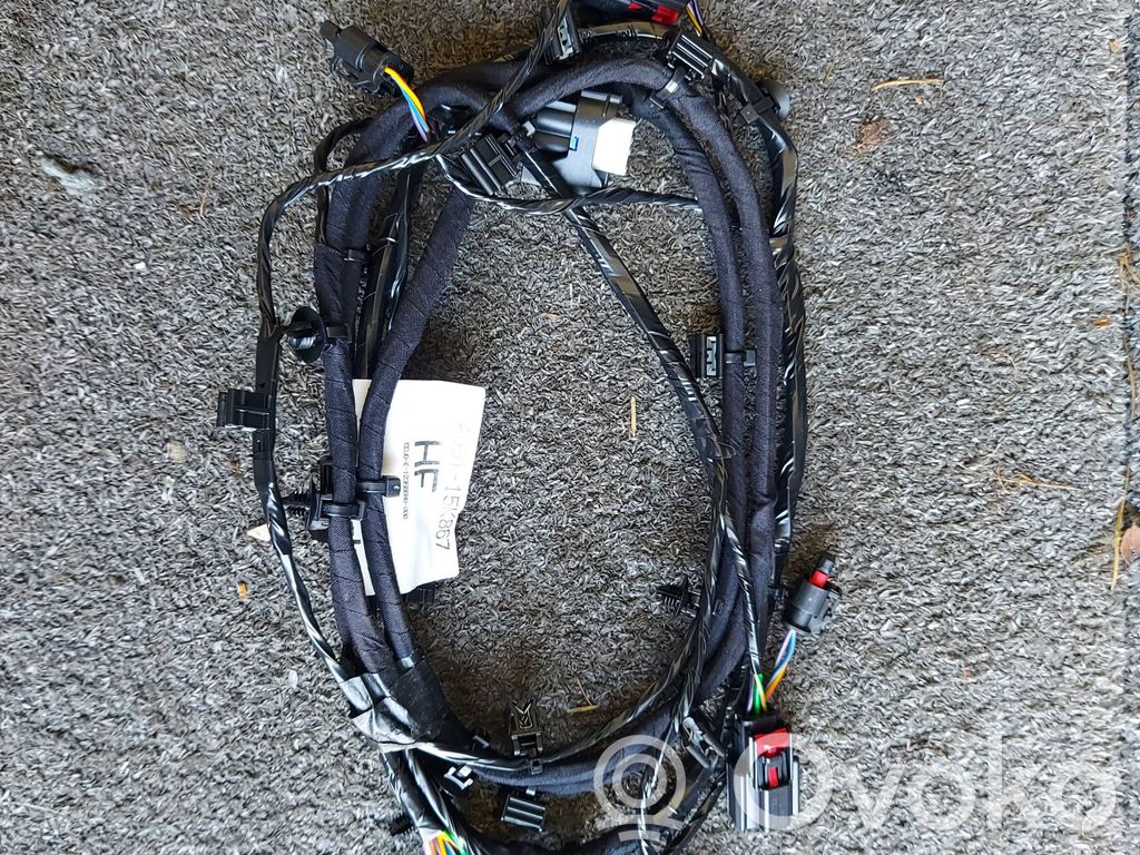 Faisceau câbles PDC   AG9T15K867,12356680000