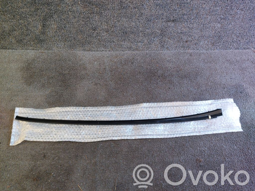 Ford Focus Windshield trim 