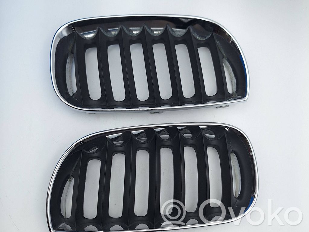 BMW X3 E83 Front grill 