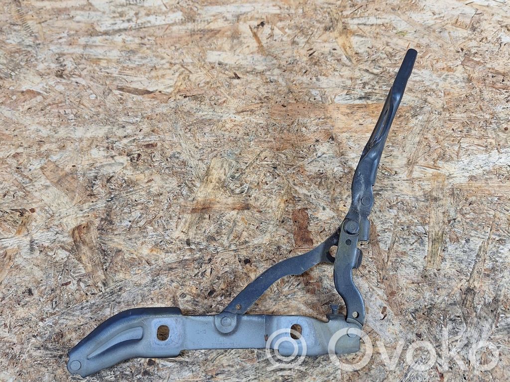 Tailgate/trunk/boot hinge   7166752
