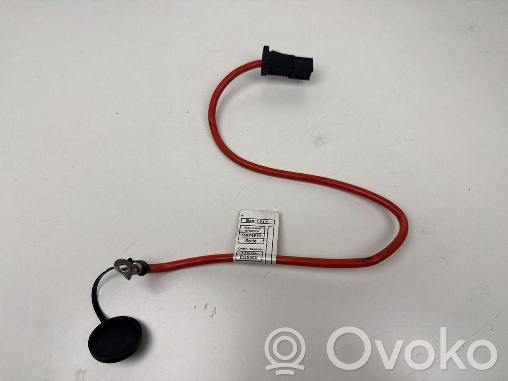 Positive cable (battery)   15974510,6938504,EG540V