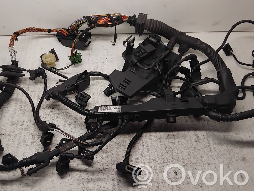 Engine installation wiring loom   780215006,758039115A,780214706