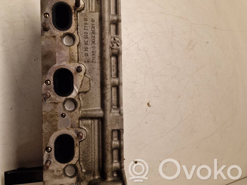 Engine head   R6420163601