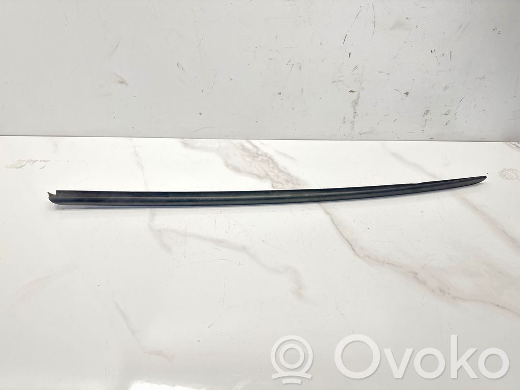 Windshield trim