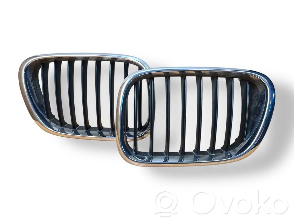 BMW X5 E53 Front bumper upper radiator grill 