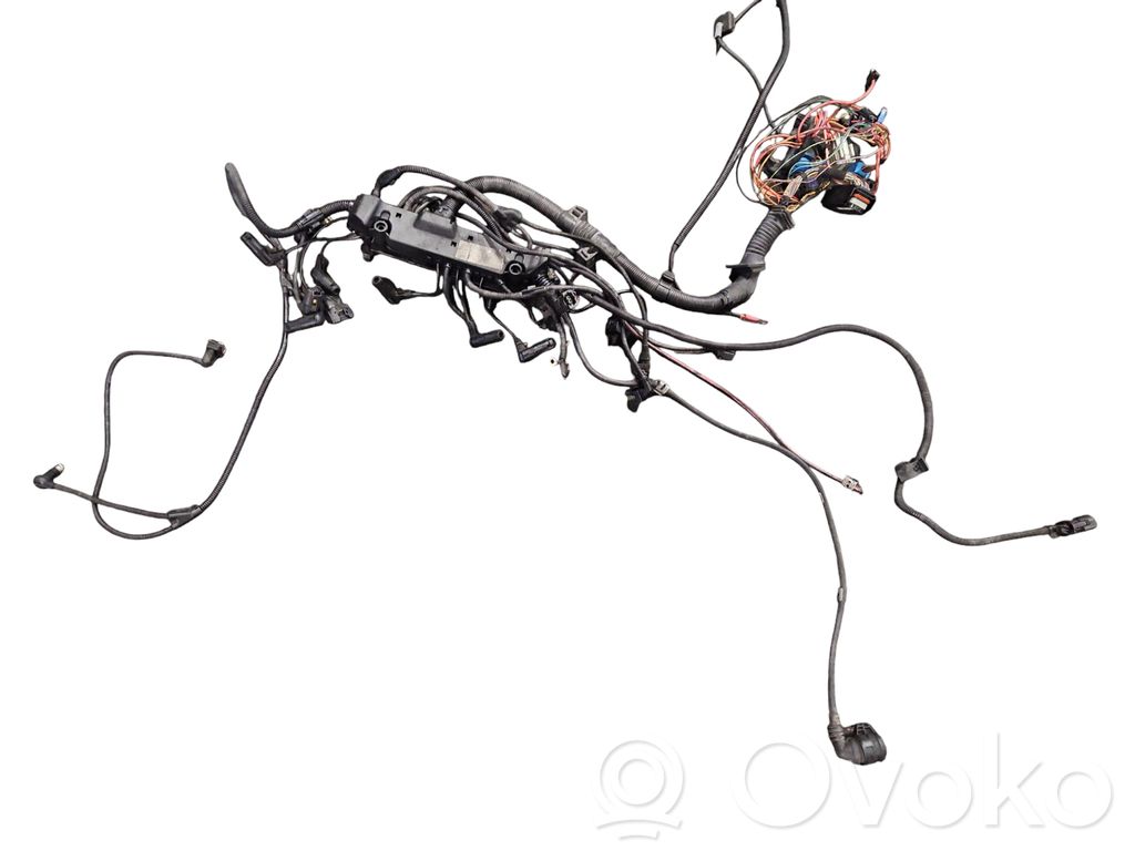 BMW X3 E83 Cablaj motor 