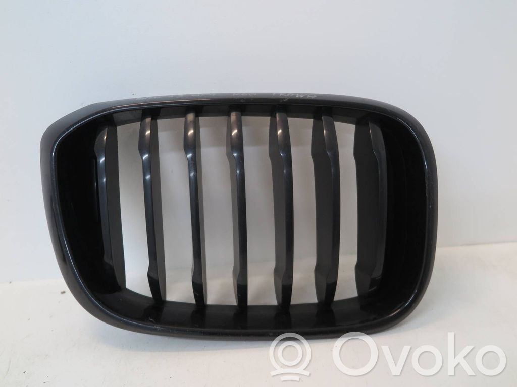 BMW X3 G01 Etusäleikkö 