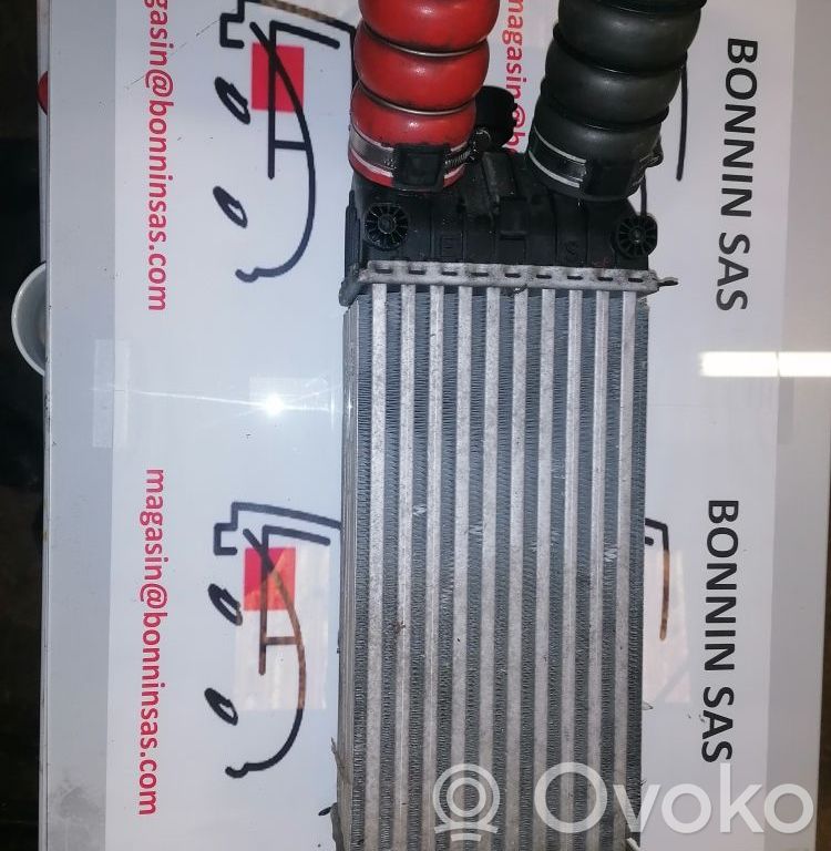 Citroen DS3 Radiatore intercooler 