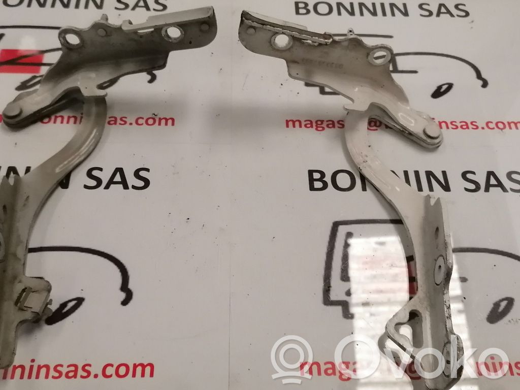 Citroen C2 Balamale capotă 