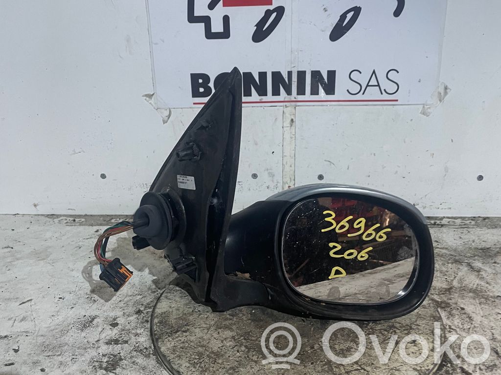 Peugeot 206 Front door electric wing mirror 