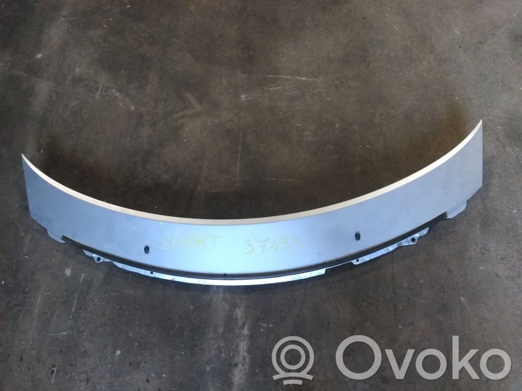 Smart ForFour I Galinis dangtis (bagažinės) 
