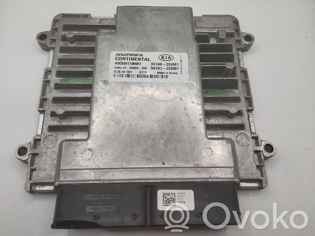 Engine control unit/module ECU   391602EKM1,391612EKM1,A3C0341790001