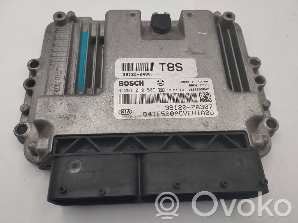 Engine control unit/module   391202A307,391252A307,0281019569
