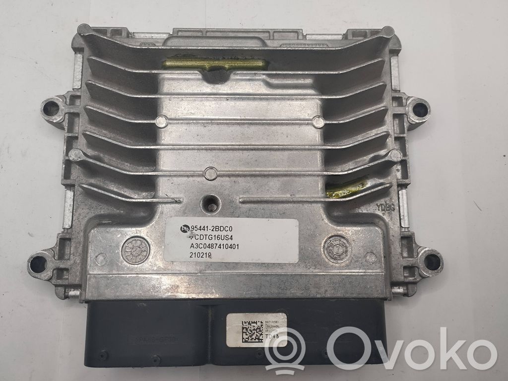 Engine control unit/module   954412BDC0,A3C0487410401