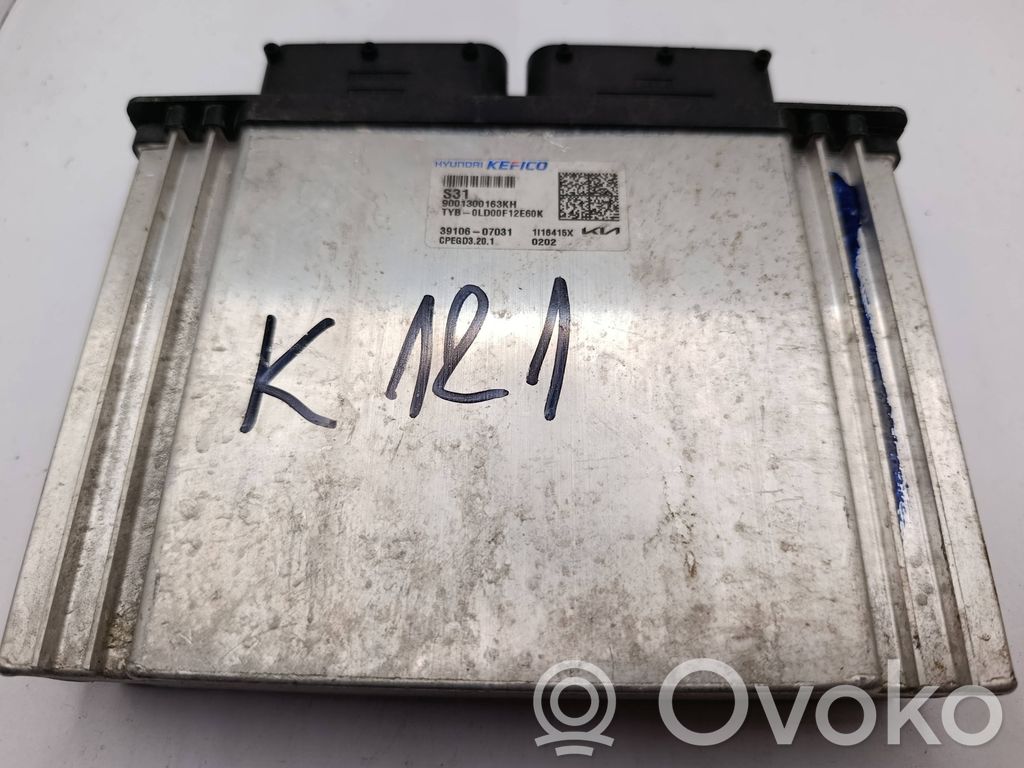 Engine control unit/module   3910607031,9001300163KH,CPEGD3201