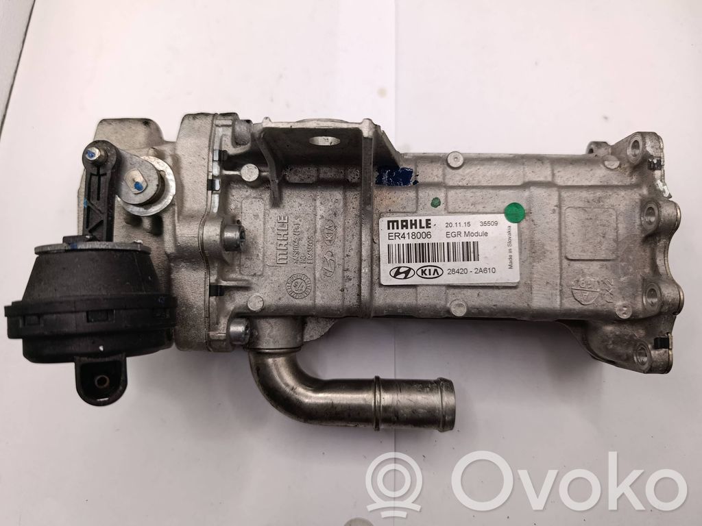 KIA Ceed Refrigerador de la válvula EGR 