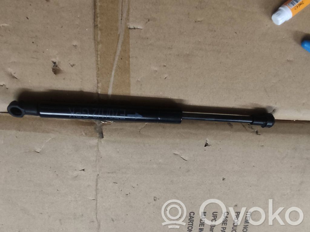 BMW X5 E70 Ammortizzatore portellone posteriore/bagagliaio 