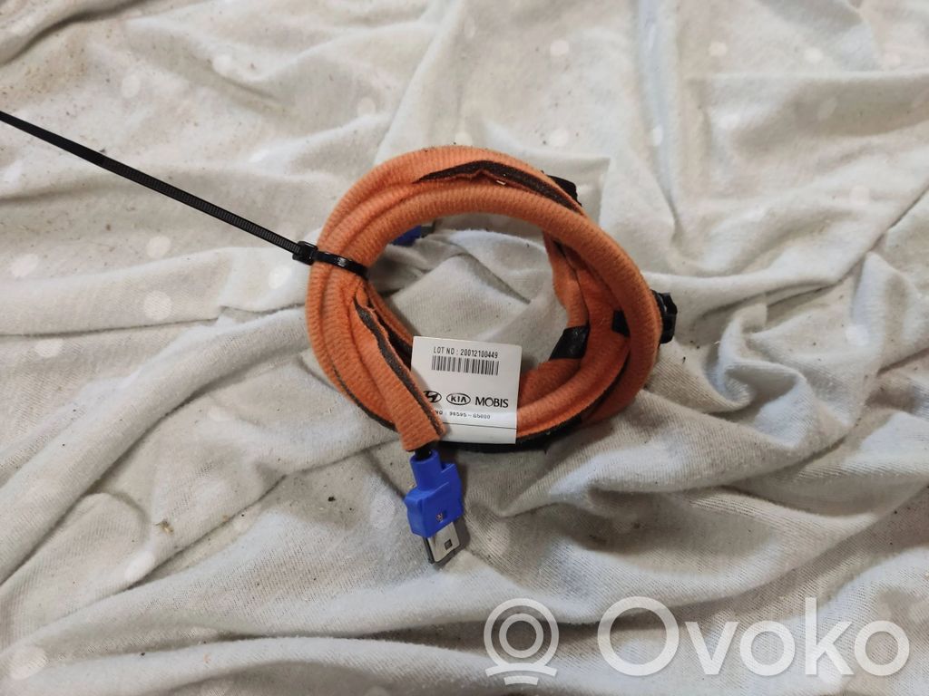 KIA Niro Pantalla/monitor/visor 