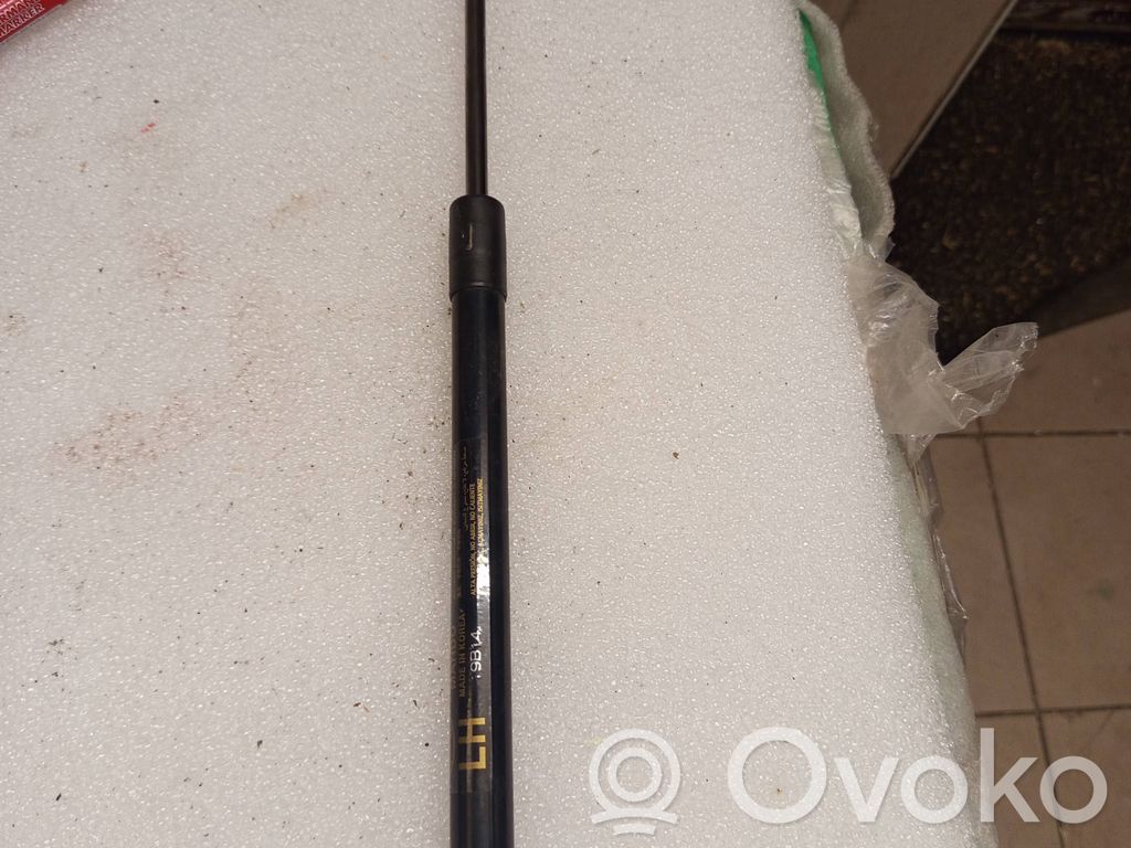 KIA Niro Tailgate/trunk strut/damper 