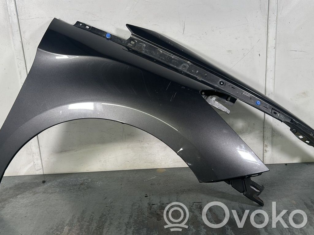 Citroen DS5 Guardabarro 