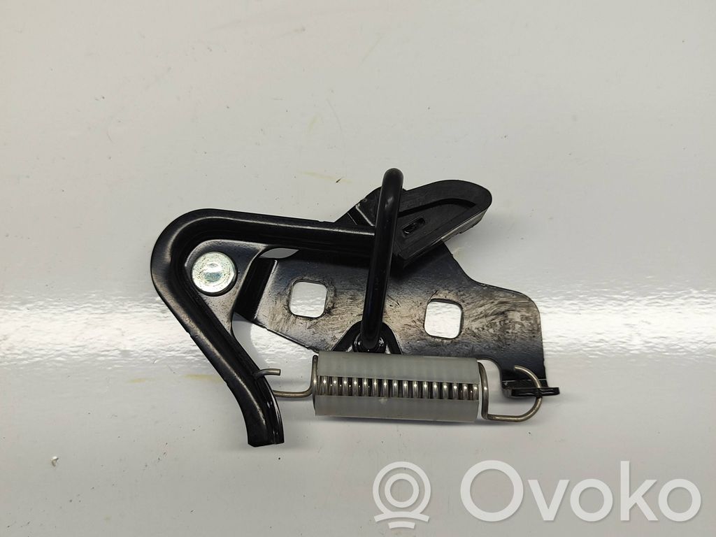 Loading door lock loop/hook striker   54404B12