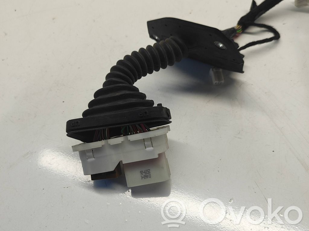 Cableado de puerta delantera   P68413696AA,WF2909W8055