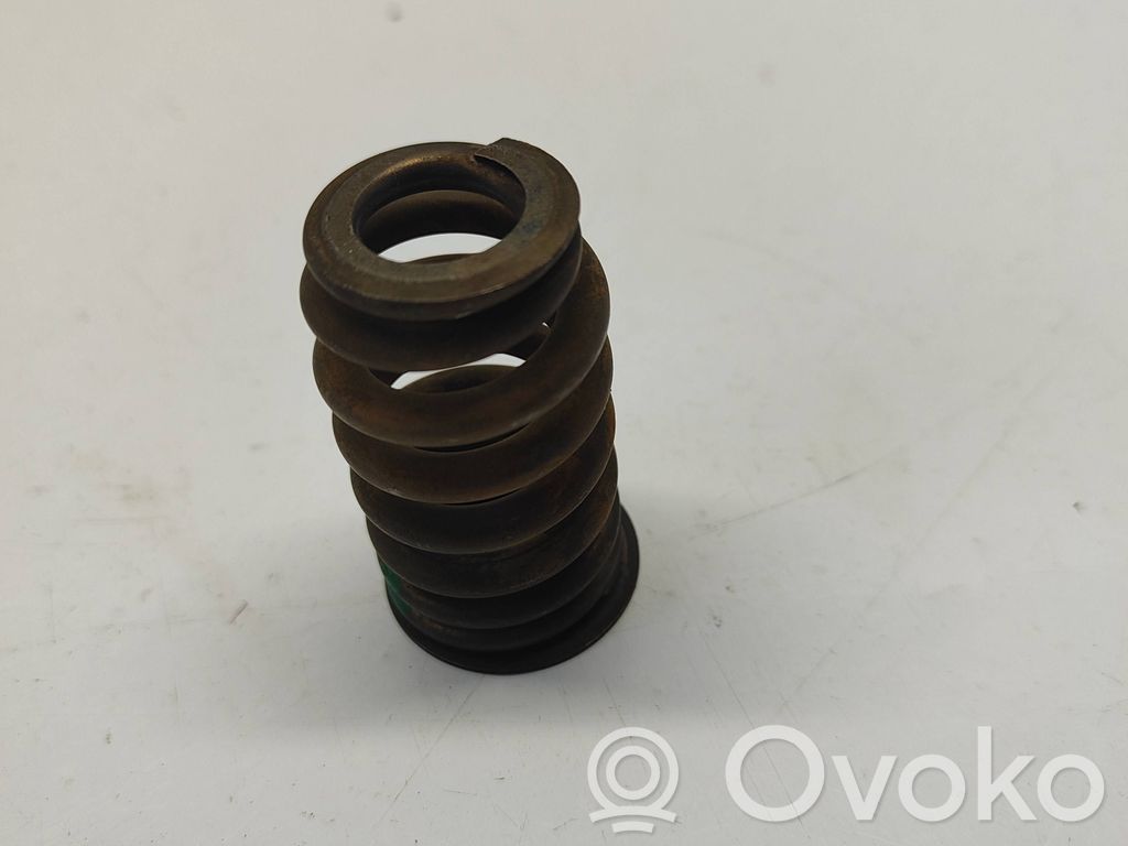 Valve spring   68080909AB,68080909AA