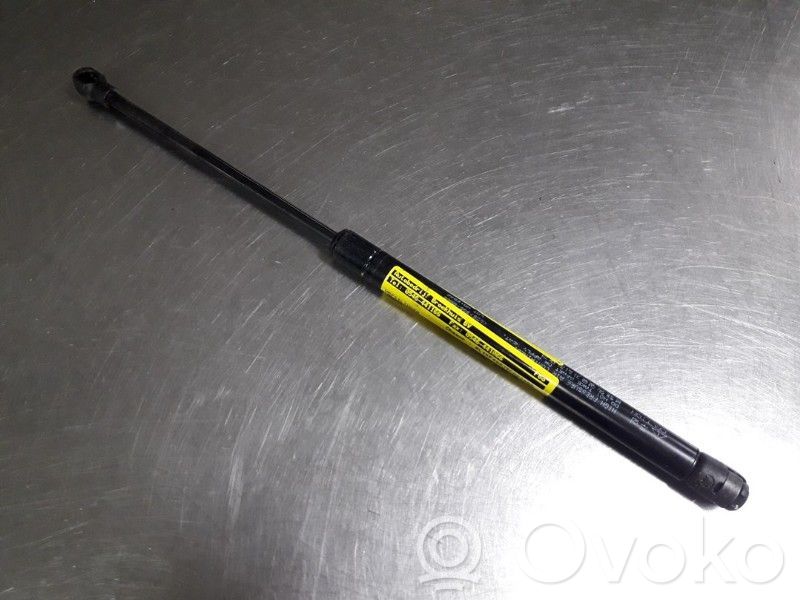 Tailgate/trunk strut/damper