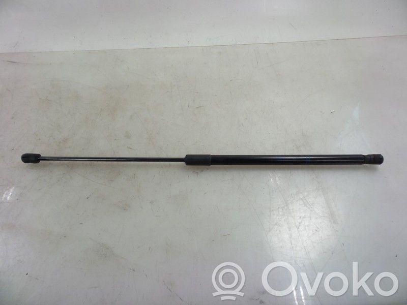 Tailgate/trunk strut/damper   315005777,13428038,13428038,315005777